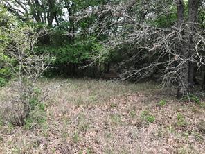 31037 Doe Run Court - Photo 4