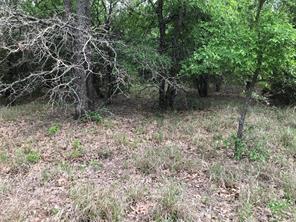 31037 Doe Run Court - Photo 6
