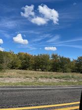 TBD TX 224 - Photo 2