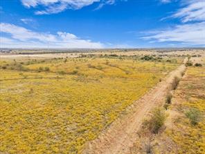 TBD County Road 3254 - Photo 16