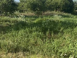 TBD County Road 3254 - Photo 3