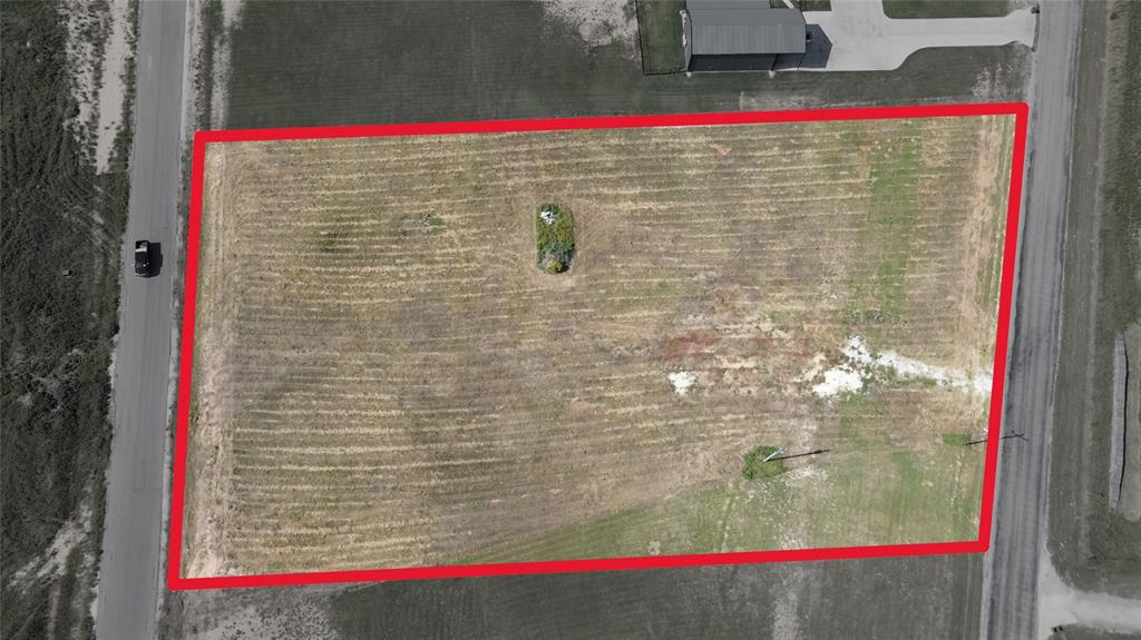 841 Williamson Road - Photo 4