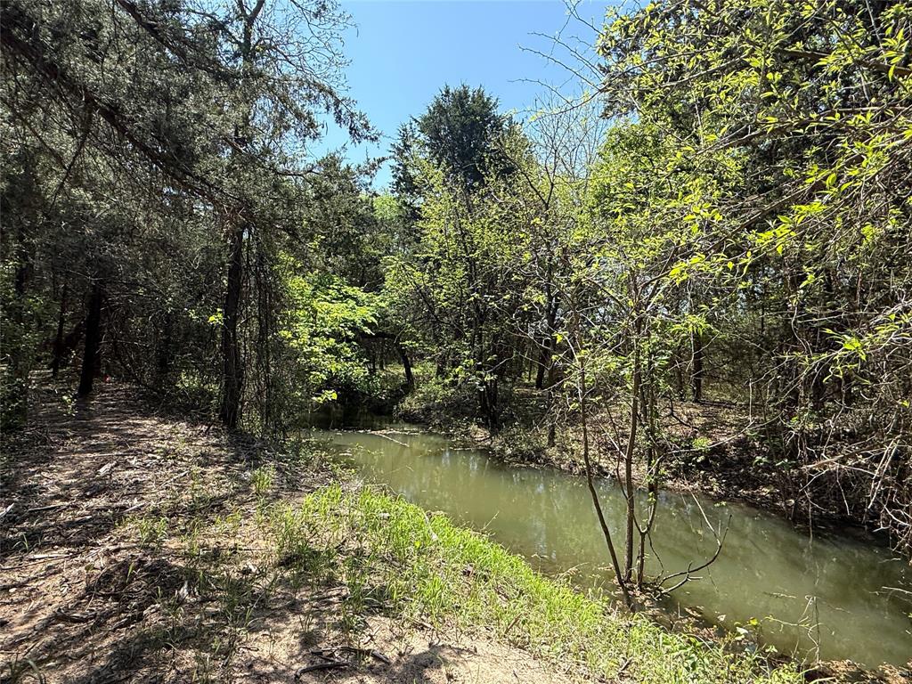 261 Catholic Cemetery Road - Photo 1