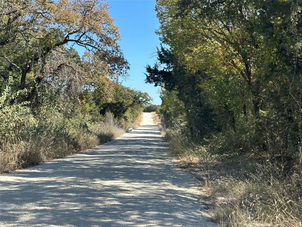 261 Catholic Cemetery Road - Photo 2