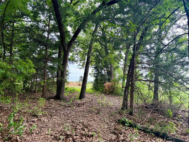 Photo 35