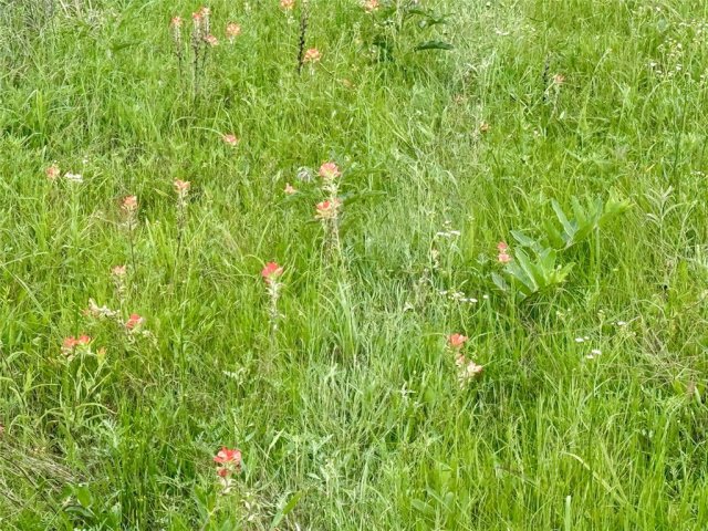 Photo 36