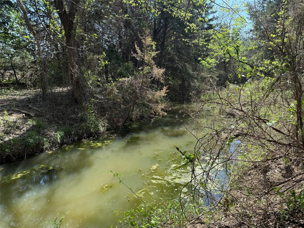261 Catholic Cemetery Road - Photo 6