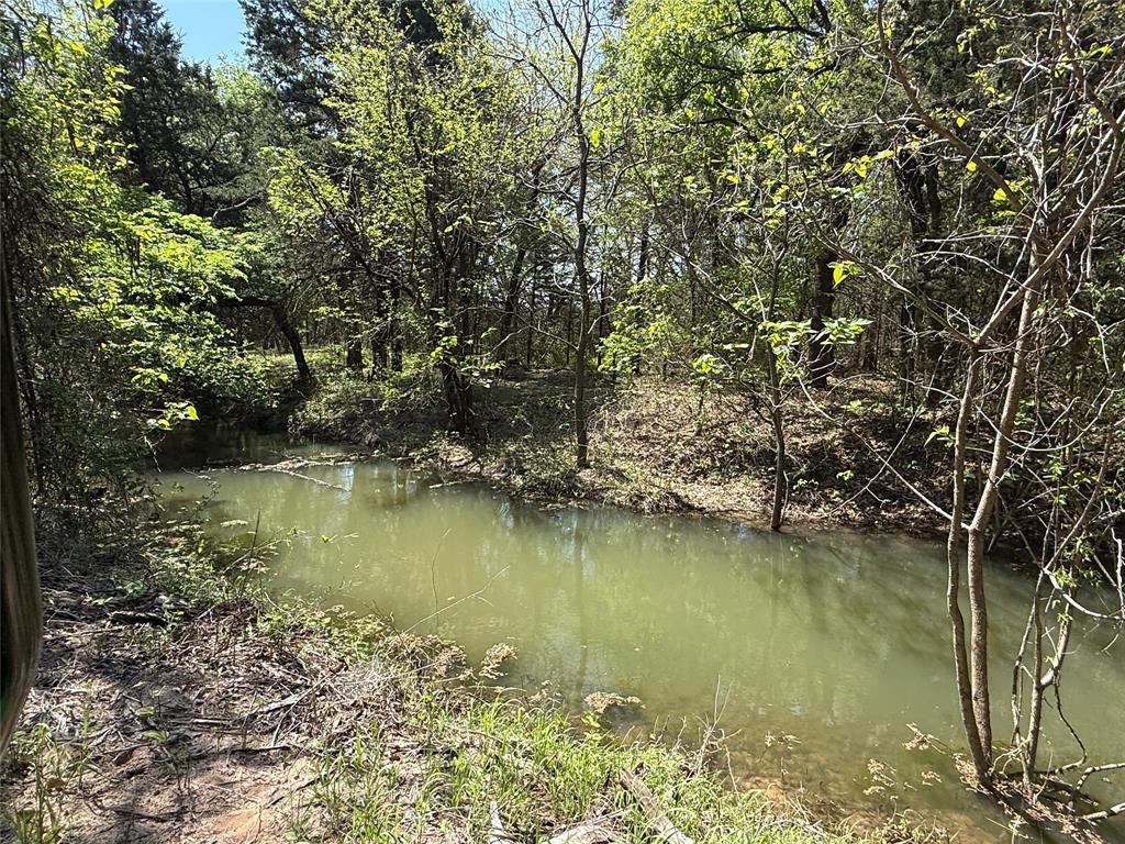 261 Catholic Cemetery Road - Photo 8