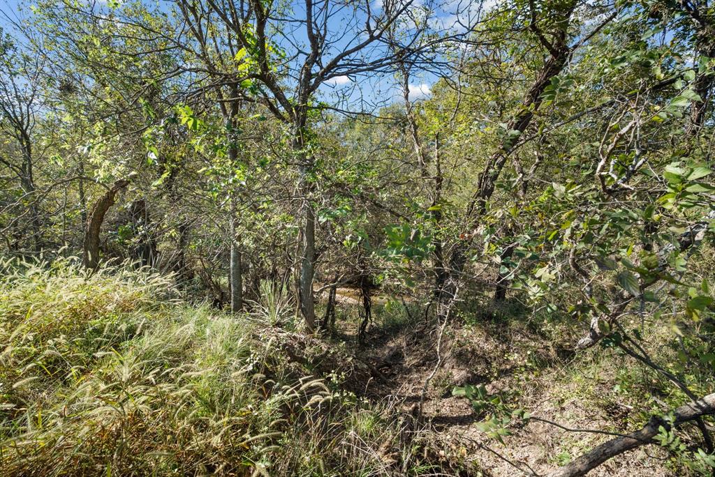TBD County Road 136 - Photo 23
