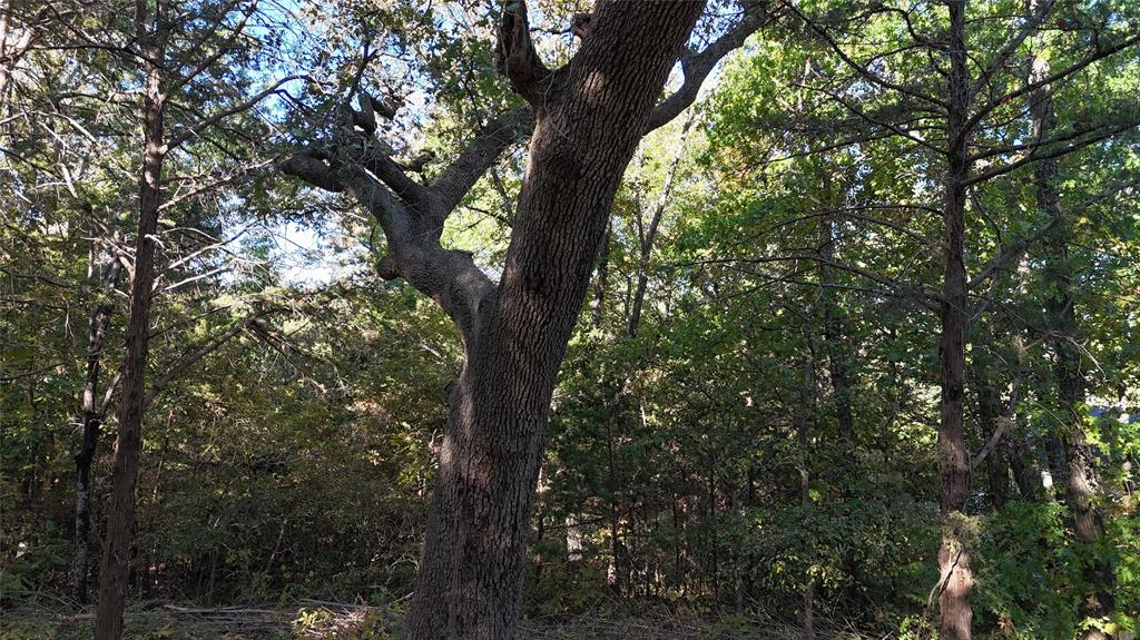 TBD 881-4 Tanglewood Trail - Photo 10