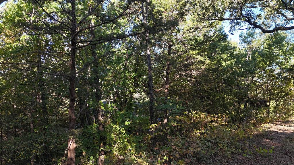 TBD 881-4 Tanglewood Trail - Photo 11