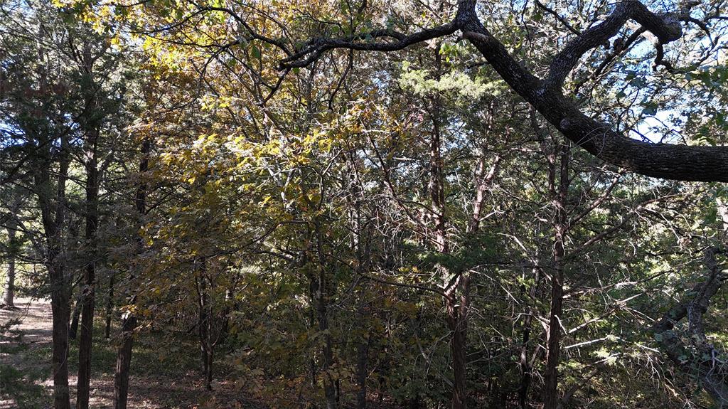 TBD 881-4 Tanglewood Trail - Photo 15