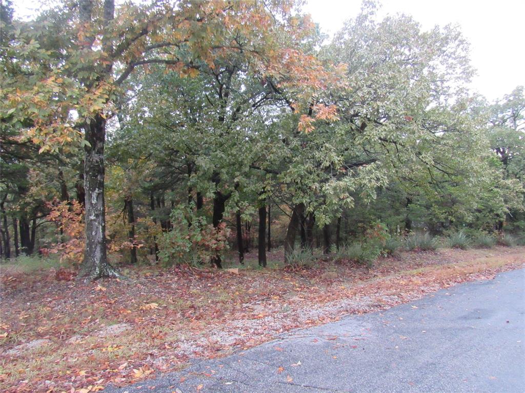 TBD 881-4 Tanglewood Trail - Photo 5