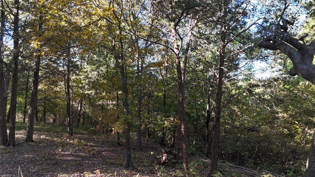 TBD 881-4 Tanglewood Trail - Photo 7