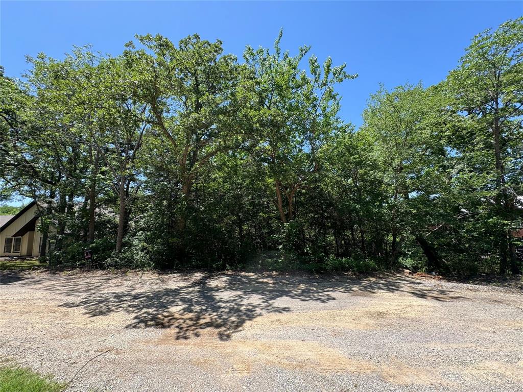 0000 Tanglewood Trail - Photo 1