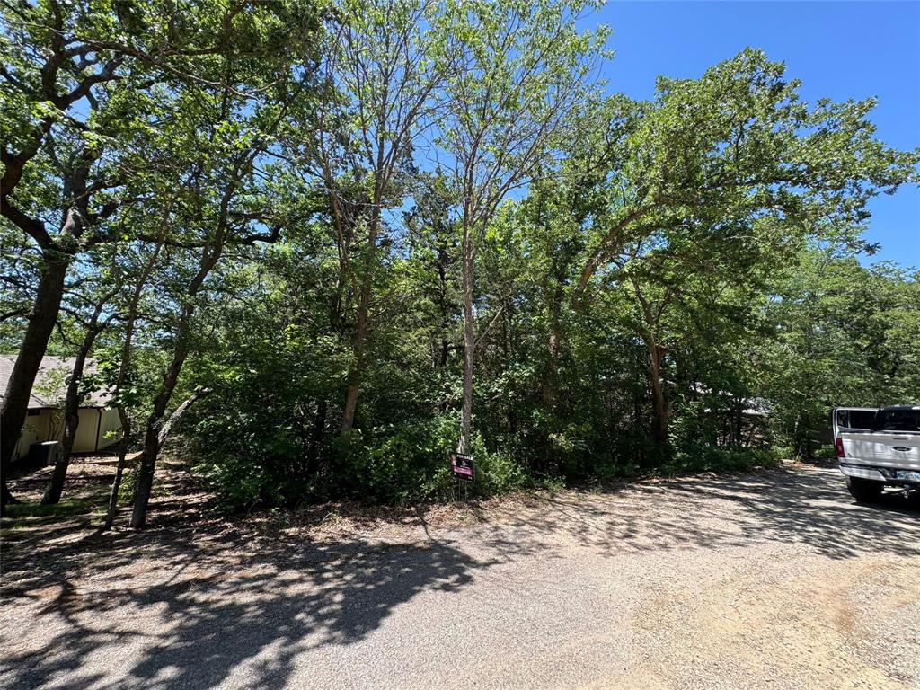0000 Tanglewood Trail - Photo 3