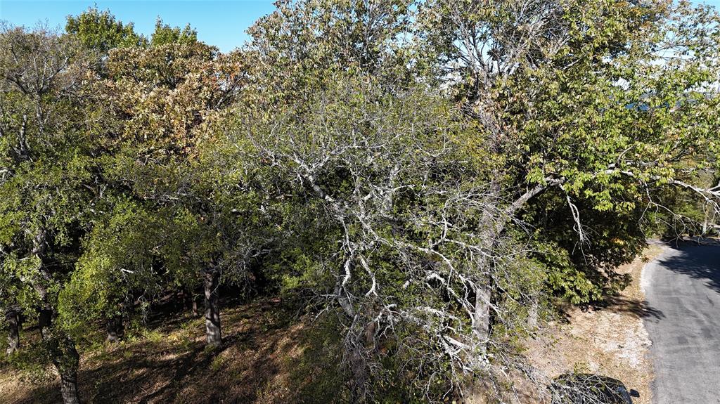 TBD 881-3 Tanglewood Trail - Photo 10