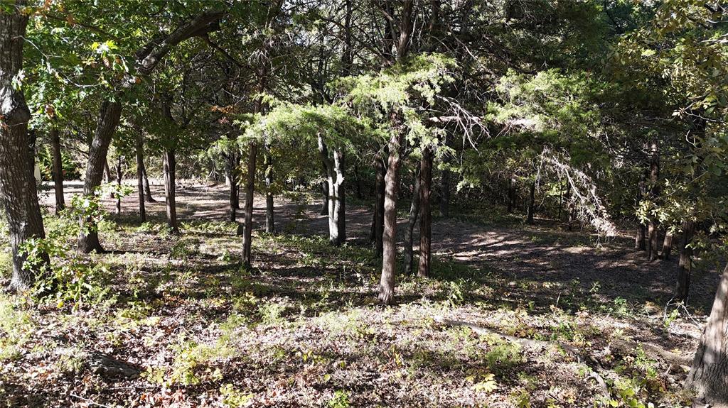 TBD 881-3 Tanglewood Trail - Photo 13