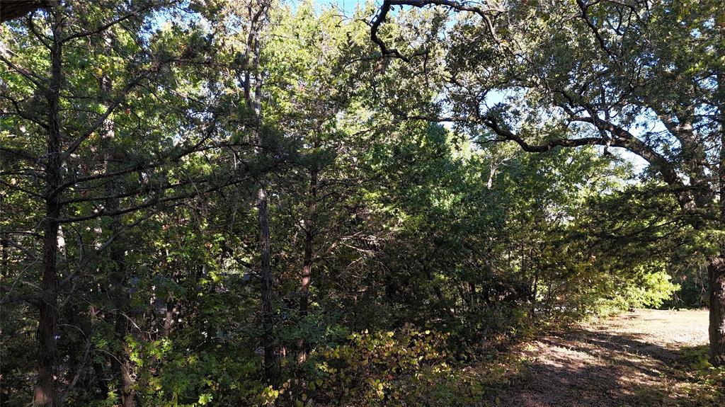 TBD 881-3 Tanglewood Trail - Photo 20