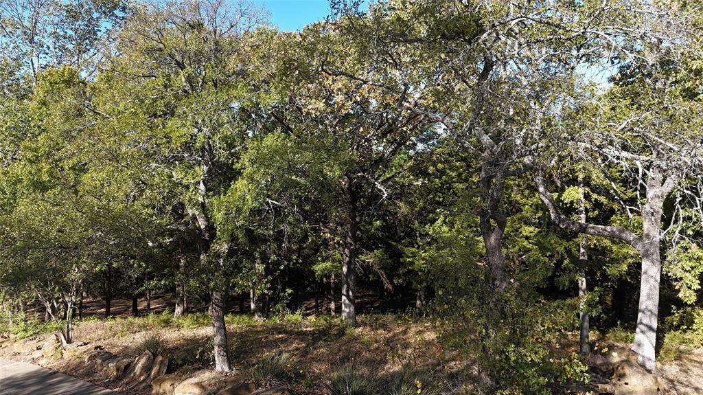 TBD 881-3 Tanglewood Trail - Photo 35