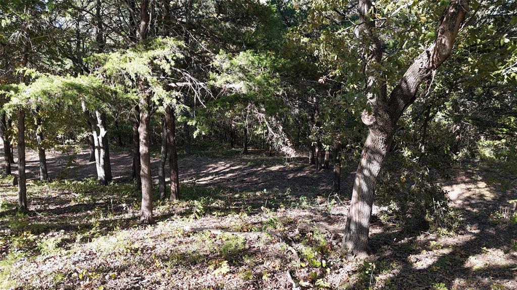 TBD 881-3 Tanglewood Trail - Photo 9