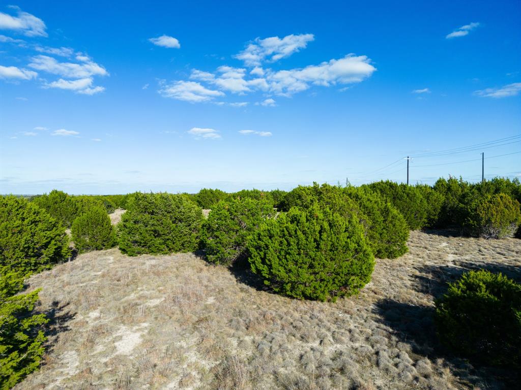 tbd Cherry Laurel Lane - Photo 13