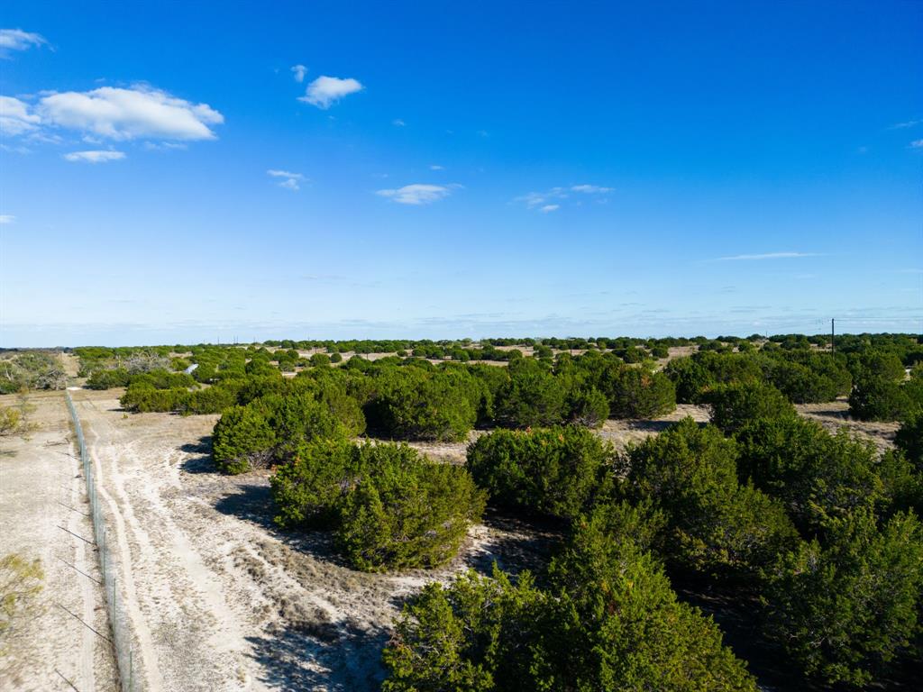 tbd Cherry Laurel Lane - Photo 17