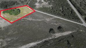 4342 Chicken Gristle Road - Photo 3