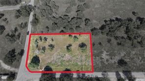 3401 Williamson Road - Photo 4