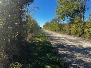2920 County Road 4301 - Photo 3