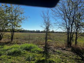 2920 County Road 4301 - Photo 4
