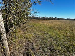2920 County Road 4301 - Photo 5