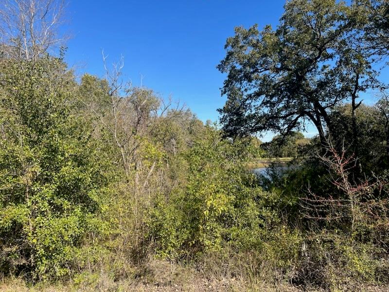 68 April Cove - Photo 1