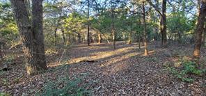 0 COUNTY ROAD 2261 - Photo 11