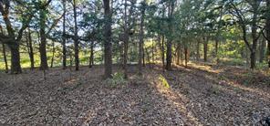 0 COUNTY ROAD 2261 - Photo 12
