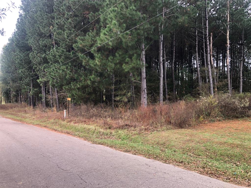 TBD County Road 4130 - Photo 1