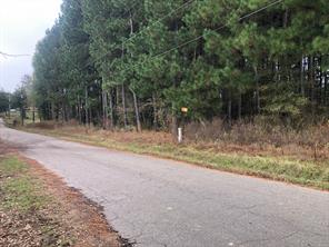 TBD County Road 4130 - Photo 3