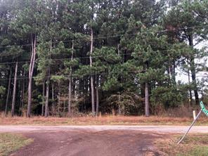 TBD County Road 4130 - Photo 4