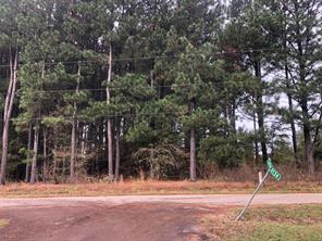 TBD County Road 4130 - Photo 5