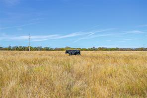 Tract 3 County Road 410 Road - Photo 8