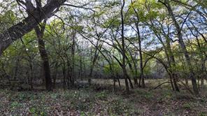 TBD Old Stoney Road - Photo 18