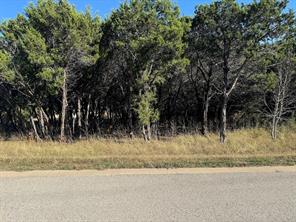 6101 Valderrama Drive - Photo 3