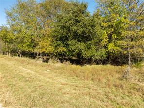 17124 Trailwood Drive - Photo 6