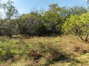 17136 Woodlawn Drive - Photo 4