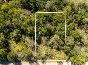 17136 Woodlawn Drive - Photo 6