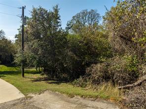 21067 Hidden Oak Court - Photo 3