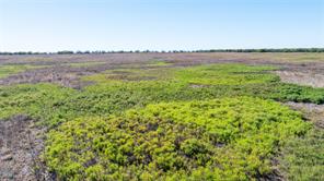 TBD Lot 23 County Road 497 - Photo 26
