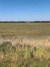 TBD Lot 23 County Road 497 - Photo 30