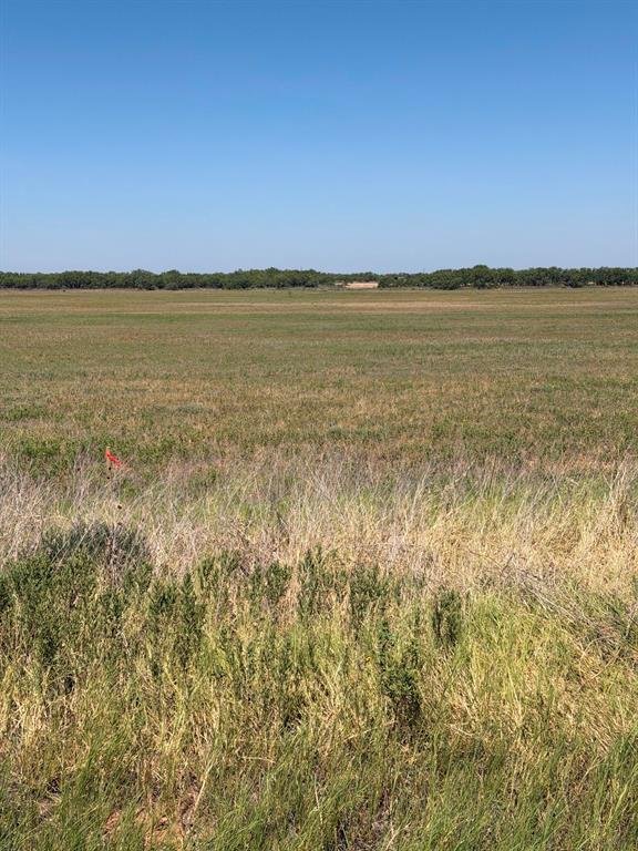 TBD Lot 25 County Road 497