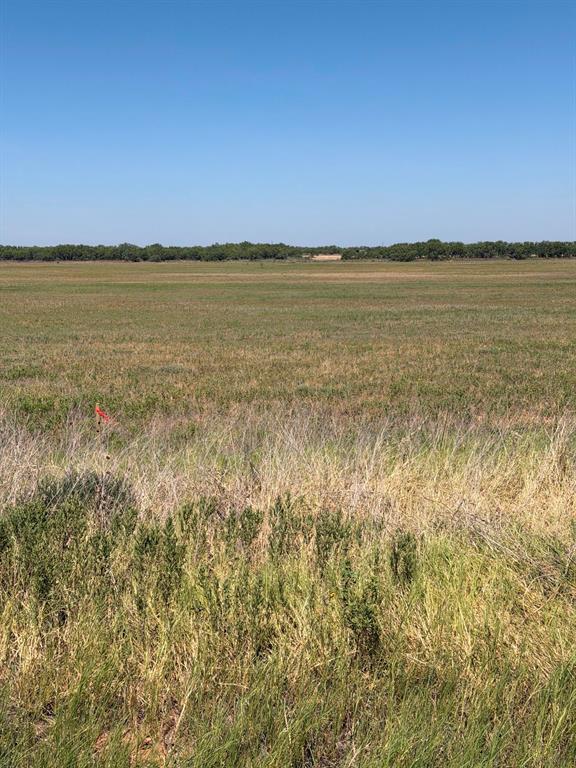 TBD Lot 25 County Road 497 - Photo 1